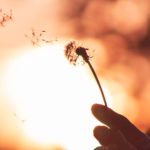 Atelier Gestion du stress Réduire les sources de stress
