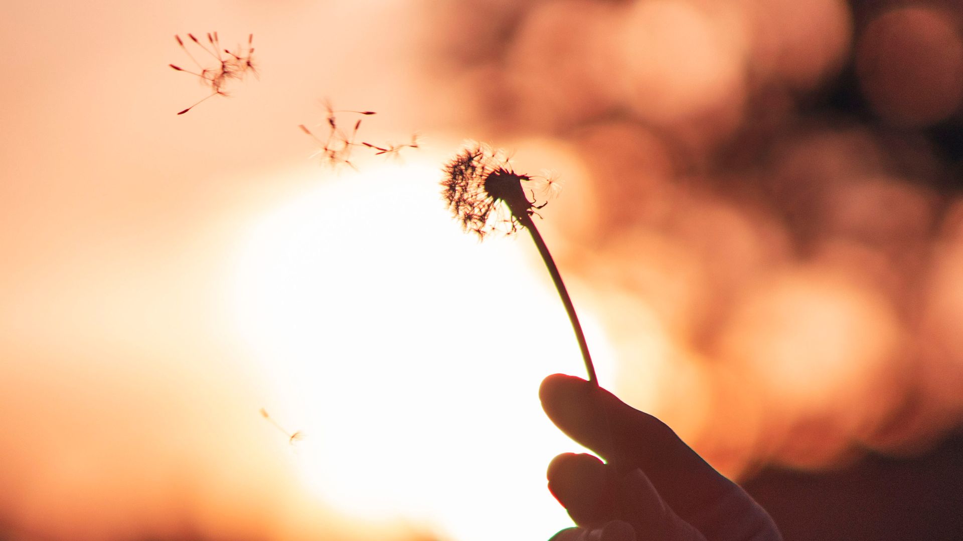 Atelier Gestion du stress Réduire les sources de stress