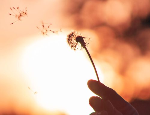 Quand tout devient trop : comprendre le stress et les émotions